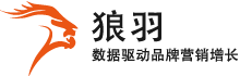 上海狼羽網(wǎng)絡(luò)科技有限公司-全域數(shù)字營(yíng)銷(xiāo)方案提供商