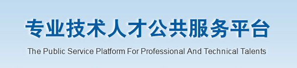 專(zhuān)業(yè)技術(shù)人才公共服務(wù)平臺(tái)