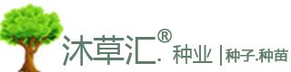 「牧草種子公司」批發種子 養殖牛羊畜牧專用品種草籽-沐草匯園林網-沭陽縣三點水商貿有限公司