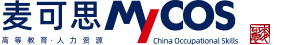 麥可思數據科技（成都）有限公司2018屆師資發展與保障評價系統