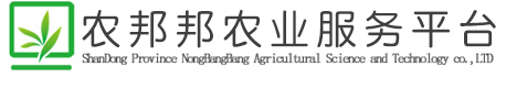 農(nóng)邦邦農(nóng)業(yè)綜合服務(wù)平臺(tái)