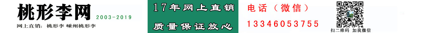 桃形李網(wǎng)-桃形李|嵊州桃形李|17年網(wǎng)上直銷-質(zhì)量有保障