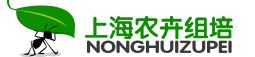 組培|組培設備|組培室設計|組培實驗室設計方案|組培室儀器設備全套價格|組培養架儀器設備生產廠家-上海農卉組培公司