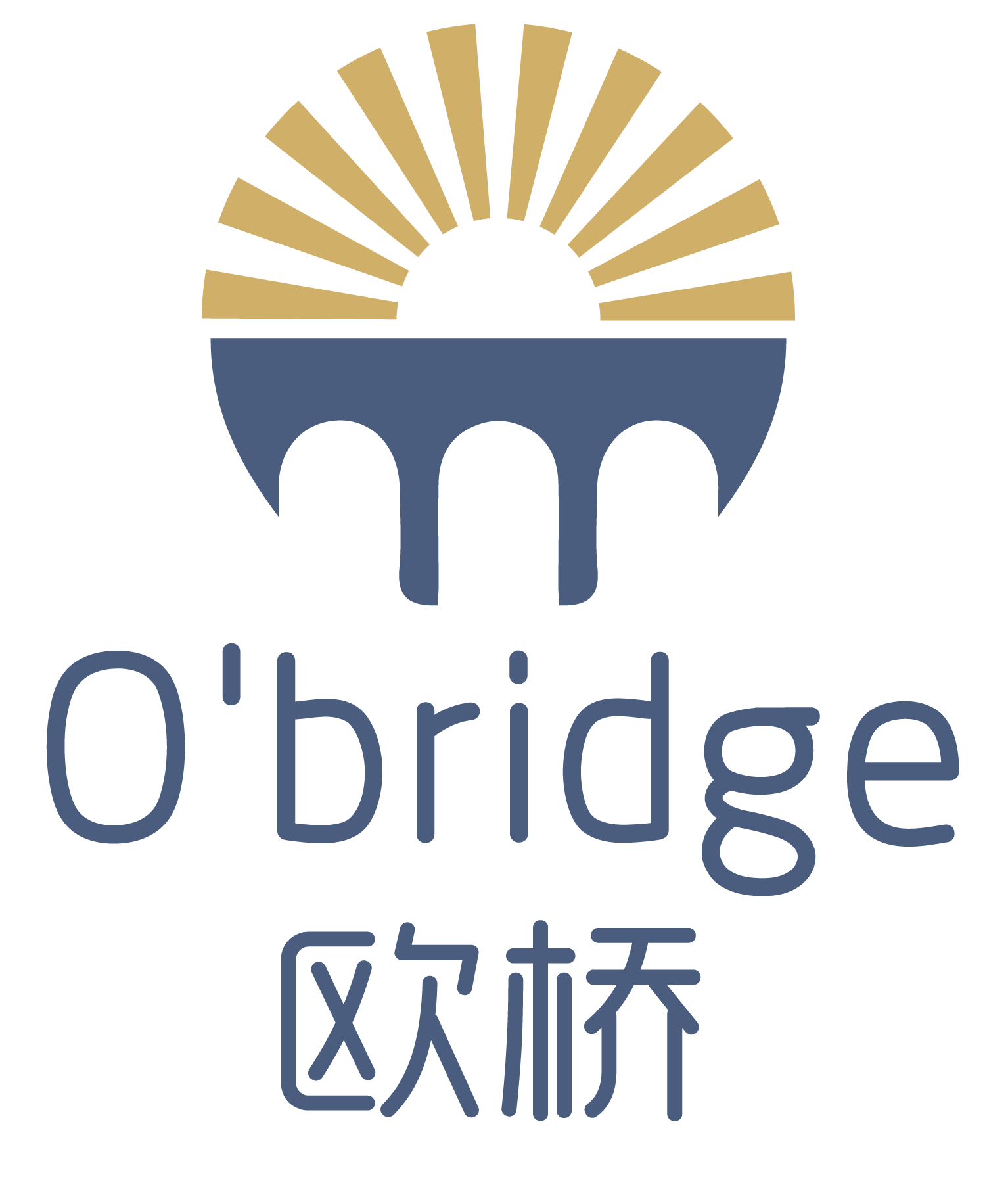 南京歐橋智能科技有限公司