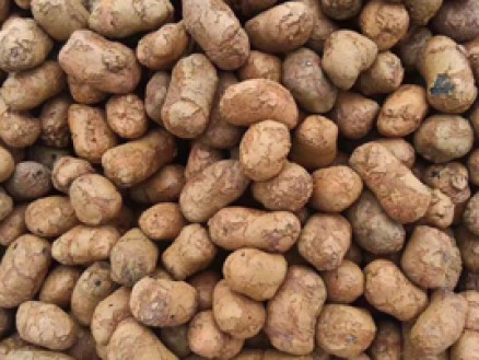 陶粒_南京浦昌建材陶粒混凝土,火山巖生產(chǎn)廠家