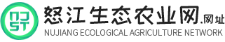 怒江特產_品質藥材_怒江生態(tài)農業(yè)網_貢山縣丙中洛鎮(zhèn)魏福種植農民專業(yè)合作社