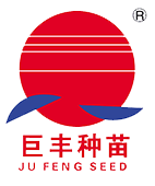 寧夏巨豐種苗有限責任公司--（蔬菜種子）-官網