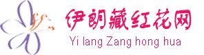 藏紅花_藏紅花的功效_藏紅花價格多少錢一克_西紅花怎么吃 - 伊朗藏紅花網