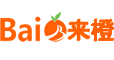 浦東網站建設_網站制作_百度網站SEO優化推廣服務商-來橙網絡