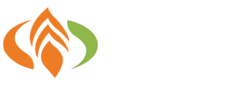 秦皇島玉米面條|粗糧面條|蕎麥面|小麥冷面|小萬冷面|厥根粉廠家-秦皇島中谷食品有限公司