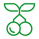 蜂糖李批發_蜂糖李_鎮寧蜂糖李_貴州黔城匠心網絡有限責任公司