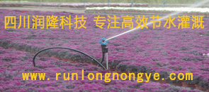 四川節(jié)水灌溉公司-成都滴灌公司-噴灌廠家-水肥一體化灌溉,滴灌設(shè)備的價格和供應(yīng),提供噴灌產(chǎn)品和水肥一體化灌溉系統(tǒng)