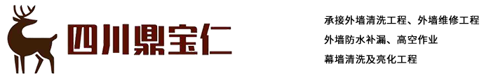 四川鼎寶仁外墻清洗、外墻維修