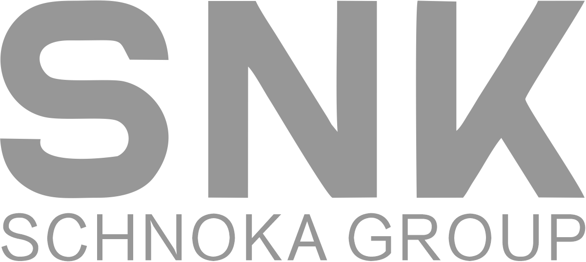 3D機器視覺系統(tǒng)-提供機器視覺檢測解決方案-SNK SCHNOKA GROUP