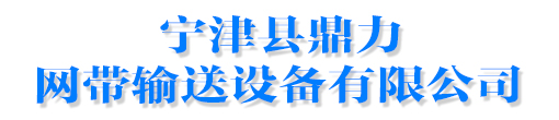 網(wǎng)帶輸送機-鏈板輸送機-分選機輸送帶-寧津縣鼎力網(wǎng)帶輸送設(shè)備