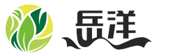 山東岳洋醫藥科技有限公司