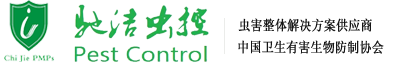 上海滅白蟻_白蟻防治_殺蟲公司_滅蟑螂_滅老鼠_上海馳潔
