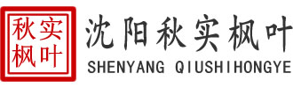 沈陽(yáng)慶典禮儀活動(dòng)策劃公司,舞臺(tái)搭建租賃-沈陽(yáng)秋實(shí)慶典活動(dòng)策劃公司