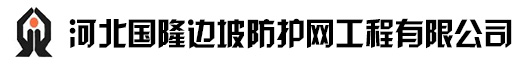 環形網_被動環形網_GPS2主動防護網_RX-050被動防護網_河北國隆邊坡防護網工程有限公司