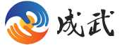 上海成武信息技術有限公司