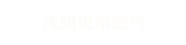 燃?xì)饧映粞b置_燃?xì)饧映魴C_燃?xì)饧映魟?沈陽貝爾燃?xì)庥邢薰? style=