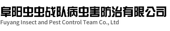 阜陽殺蟲滅鼠-阜陽除四害公司-消殺公司-阜陽蟲蟲戰(zhàn)隊(duì)病蟲害防治有限公司