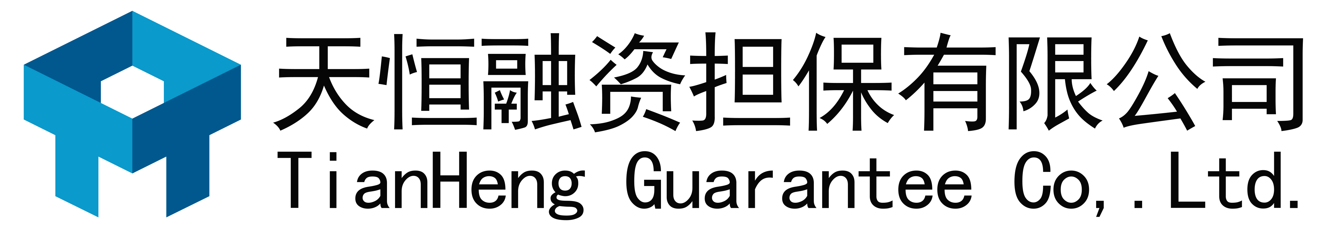 天恒融資擔保有限公司
