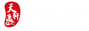 貴州天逸軒網(wǎng)絡(luò)科技有限公司-首頁