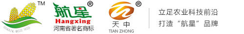 河南省天中種子有限責任公司,河南種業,玉米高產品種,高產玉米種子