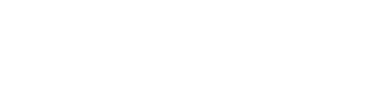 上海新數(shù)網(wǎng)絡科技股份有限公司 - 首頁