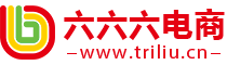 京東代運(yùn)營_京東國際代運(yùn)營_淘寶代運(yùn)營_天貓代運(yùn)營_京東服務(wù)商_天貓TP_六六六網(wǎng)絡(luò)科技【官方網(wǎng)站】