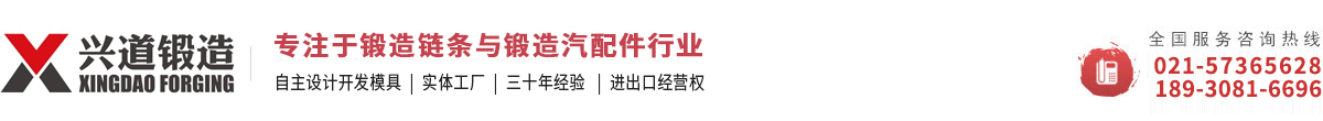 上海興道鍛造有限公司-模鍛鏈條-滑架-刮板鏈-汽車門鉸鏈-魚尾板-撥叉
