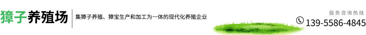 獐子養殖場  獐子養殖 獐子 獐寶