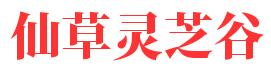 專注靈芝孢子粉相關知識分享「大全」-仙草靈芝谷
