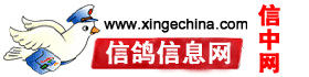 信鴿信息網www.xingechina.com