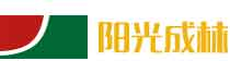 建筑模板廠家_建筑模板批發(fā)_建筑模板供應(yīng)-陽光成林木業(yè)
