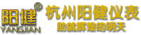 水質(zhì)檢測(cè)儀器-在線(xiàn)監(jiān)測(cè)多參數(shù)分析儀-在線(xiàn)監(jiān)控pH計(jì)_杭州陽(yáng)健儀表公司