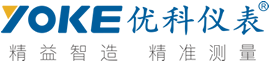 大連優(yōu)科儀器儀表有限公司