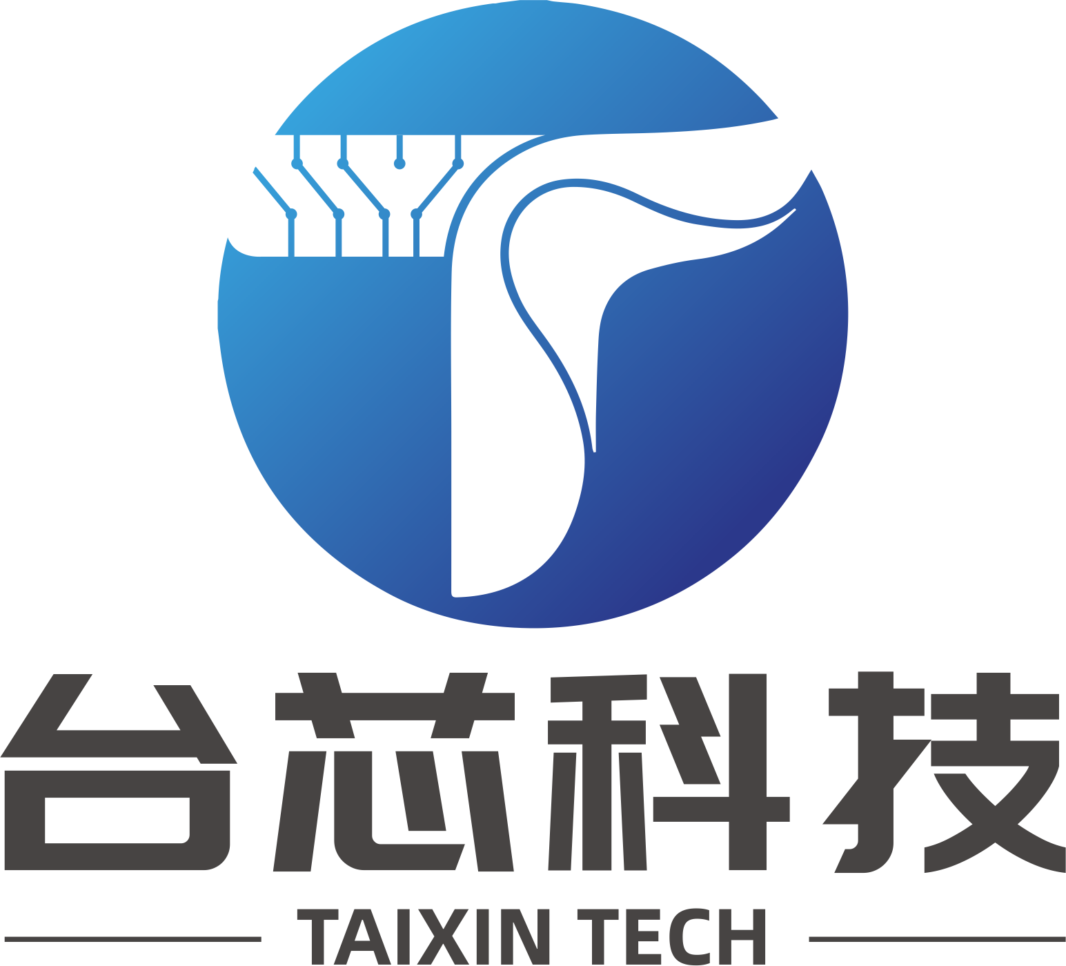 煙臺(tái)臺(tái)芯電子科技有限公司
