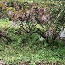 中國(guó)壓鑄網(wǎng)(www.yzw.cc)專注于壓鑄企業(yè)產(chǎn)品、品牌宣傳服務(wù)的行業(yè)媒體。提供最新壓鑄行業(yè)會(huì)議展會(huì)資訊、壓鑄采購(gòu)商機(jī)、壓鑄企業(yè)名錄、人才招聘，原材料報(bào)價(jià)、網(wǎng)站建設(shè)及廣告合作