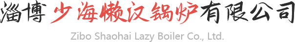 造粒機(jī),成球機(jī),包衣機(jī)-淄博少海懶漢鍋爐有限公司