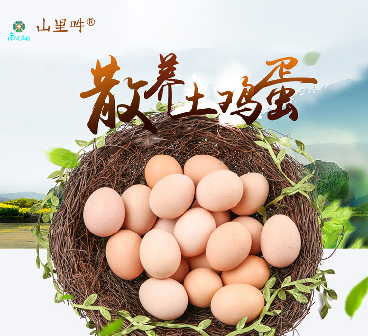 橄欖油-中國(guó)橄欖油商城-特級(jí)初榨橄欖油