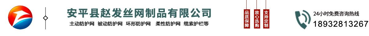 主動(dòng)邊坡防護(hù)網(wǎng)-被動(dòng)邊坡防護(hù)網(wǎng)-柔性防護(hù)網(wǎng)-趙發(fā)邊坡防護(hù)網(wǎng)