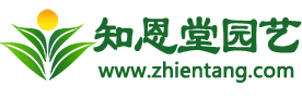知恩堂園藝 - 你身邊的養(yǎng)殖和種植技術(shù)專家