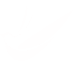 信鴿足環(huán)號查詢系統(tǒng)分享，賽鴿成績查鴿網址分享-網址導航