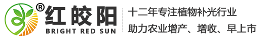 植物生長燈_大棚植物補光燈_草莓補光燈廠家-【陜西星豐】