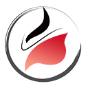 戲曲大全網站 - 傳承戲曲藝術 弘揚民族文化