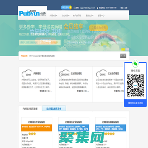 專業的云計算、動態域名服務提供商 - 公云PubYun