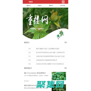 重樓的功效與作用-重樓種植技術(shù)-重樓網(wǎng)