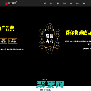 SEO·品牌推廣·網(wǎng)絡(luò)營銷策劃·王通